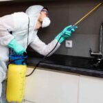 Top pest control companies follow these 7 tips of pest control