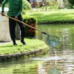 Find the Best Pond Cleaning Services Near Me