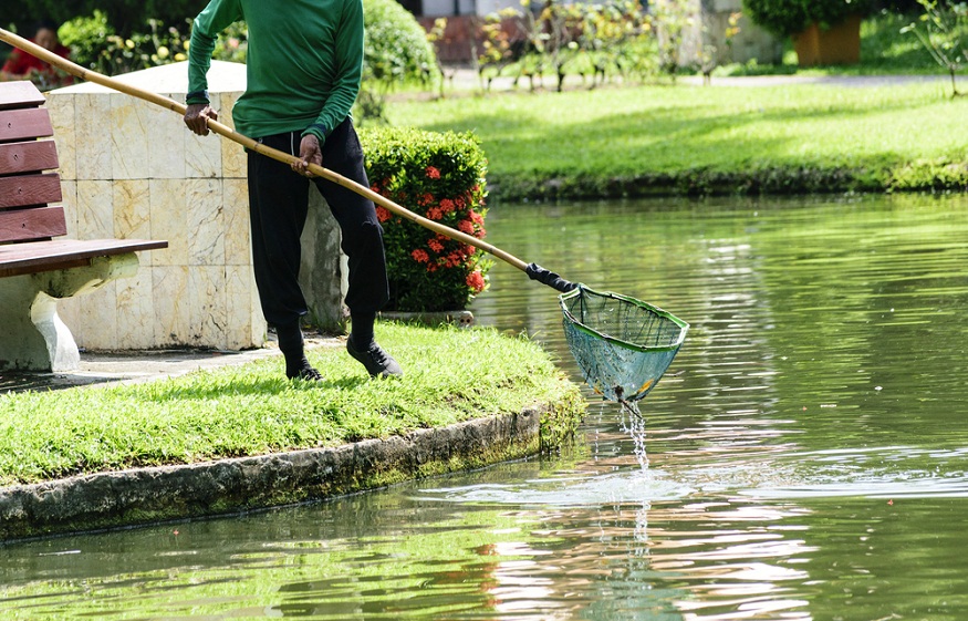 Pond Cleaning