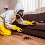 How to Read a Pest Control Service Agreement