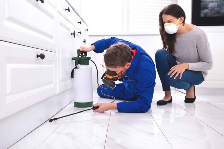 pest control company in Burke