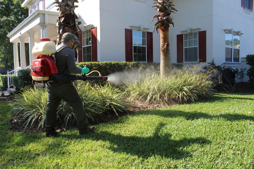 Avata Pest Control